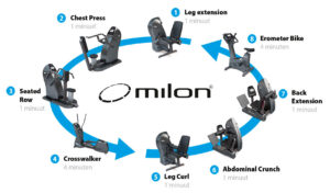 Milon Cirkel
